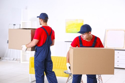 Boxes and packing materials arranged for a London move